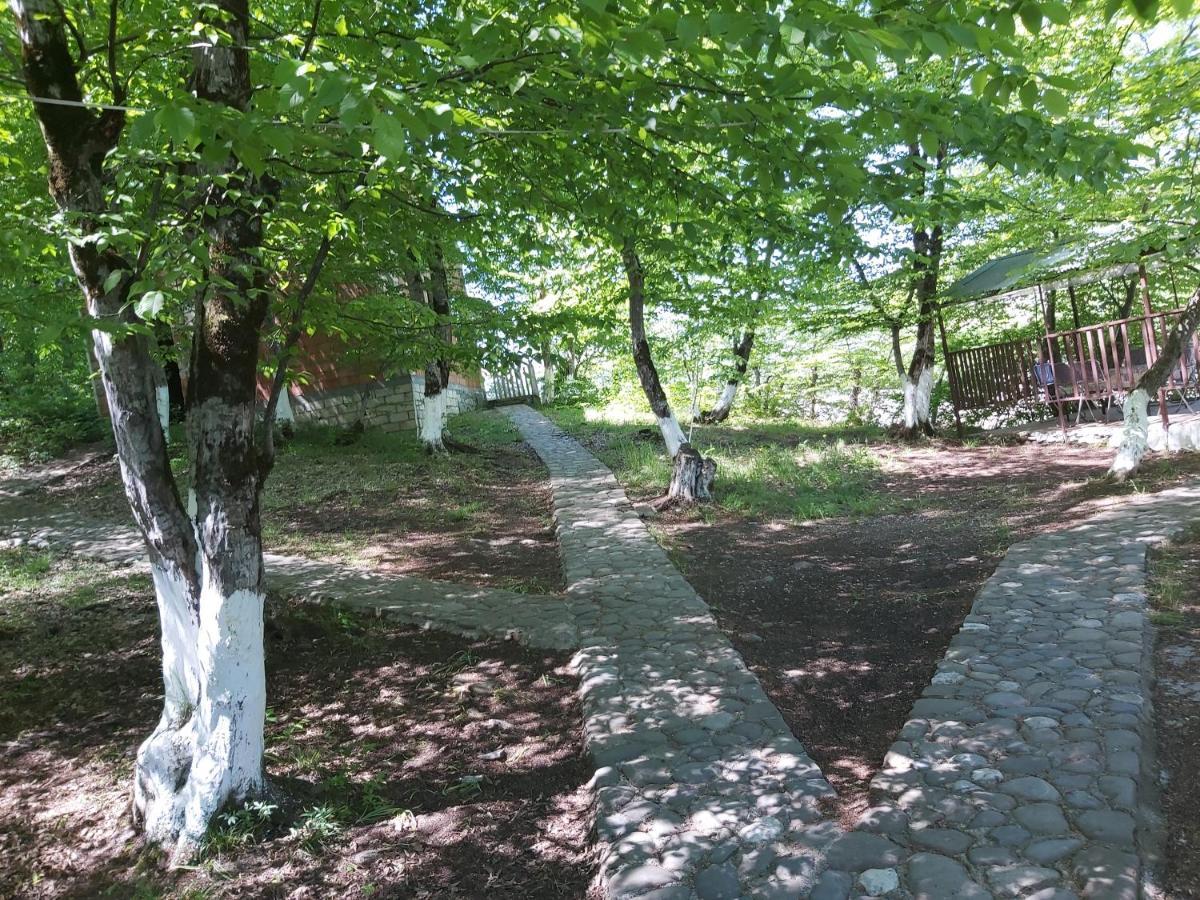 Quba Alfa-M Motel Zewnętrze zdjęcie